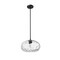 Z-Lite Chloe Pendant, 1-Light, 14 In.W x 9.5 In.H, Matte Black/Clear 490P14-MB - alternate 6